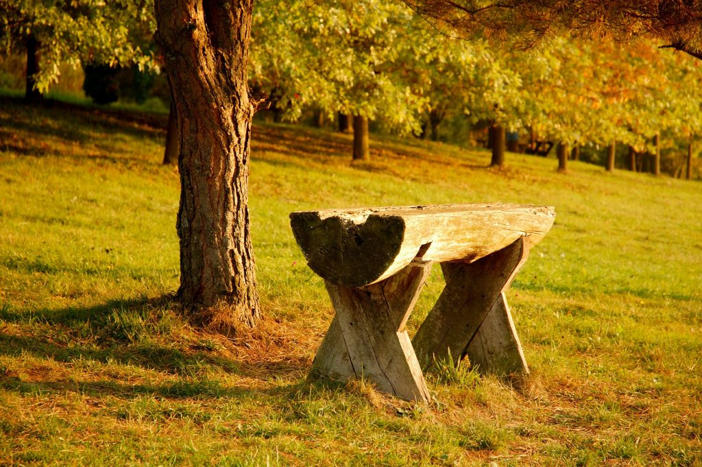 夢占い　好きな人　会えない